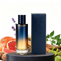 Parfum pour homme boisé épicé de luxe, Parfum Hombre, Parfum Masculino, Parfum Homme, Profumo Uomo, longue tenue, vente en gros, spray