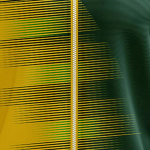 Chaquetas de Sublimación para Hombre, Color Amarillo y Verde, Material de la Mejor Calidad, Logotipo Personalizado Impreso, Gran Venta - Product Image 6