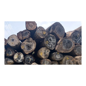 Bûches de wengé fournies en stock pour les commandes en grande quantité - Product Image 1