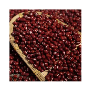 Vente en gros de haricots rouges de qualité supérieure à vendre à bas prix Haricots rouges foncés Haricots longs - Product Image 5