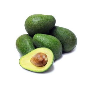 Aguacate Hass Orgánico Variedad Recién Cultivada Disponible a Precios Moderados - Product Image 6