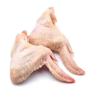 Pollo congelado de buena calidad MJW ala articulada disponible en stock fresco a granel a precio mayorista