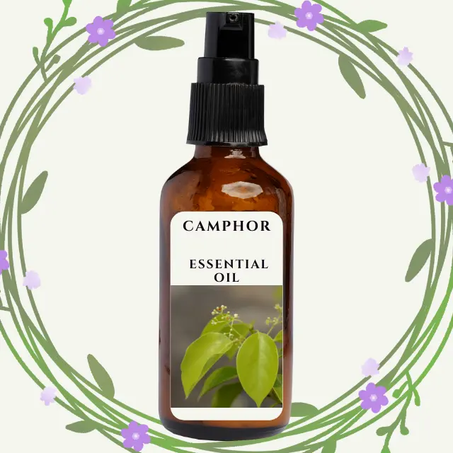 Camphor Essential Oil Air Humidifier Essential Oil Diffuse Anti-Infectious Diseases