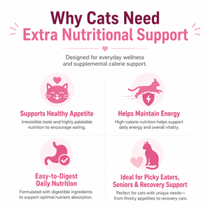 Gel hypercalorique en gros pour chats – Pâte <span class=keywords><strong>de</strong></span> récupération pour la prise <span class=keywords><strong>de</strong></span> poids avec huile <span class=keywords><strong>de</strong></span> <span class=keywords><strong>saumon</strong></span>, lysine, taurine et prébiotiques – Complément alimentaire pour animaux <span class=keywords><strong>de</strong></span> compagnie (OEM) - Product Image 3