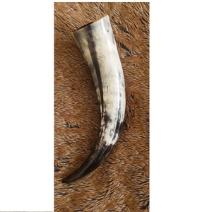 Nouvelle corne à boire Viking pour la bière corne polie de boeuf/vache de haute qualité pour boire corne naturelle fabriquée logo personnalisé - Product Image 2