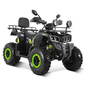 ÚLTIMA OFERTA UE 2025/2026 Cuatrimoto de 200cc con Transmisión por Cadena para Uso Agrícola, LISTA PARA ENVIAR - Product Image 3