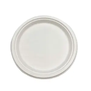 Nature Saving 10 Inch Disposable Plates Made Of Sugarcane Bagasse for Unique Party Dinnerware Purposes at Affordable Prices