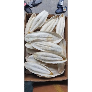 VENTA CALIENTE 100% Hueso de sepia seco natural de Vietnam para alimentos para peces Alimento para animales Comuníquese con La Sra. May en + 84 904 183 651 - Product Image 5