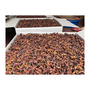 Hierba de anís estrellado de alta calidad, forma entera, especias secas procesadas crudas, condimento de Primavera de otoño, anuncio de hinojo, gran oferta, gránulos de anís estrellado - Product Image 6