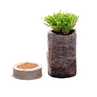 COCO Jiffy-arbre de planification de bloc vert or clair foncé pour serre 99GD, 100% prix de la menthe COCO biologique