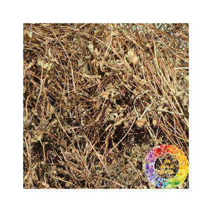 Meilleur prix en vrac séché gelée d'herbe noire exportation en gros approvisionnement en gros feuilles de gelée d'herbe à base de plantes avec une longue durée de vie de stockage et de qualité - Product Image 1