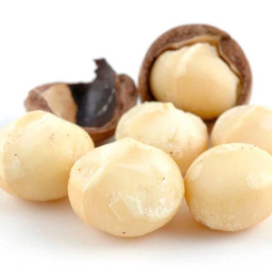 Noyaux de macadamia grillés salés séchés vietnamiens Sans coquille Texture croquante Goût personnalisé - Product Image 1
