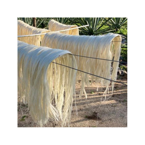 Fibra de sisal a granel asequible para fabricantes de productos de cuerda y cepillo. - Product Image 3