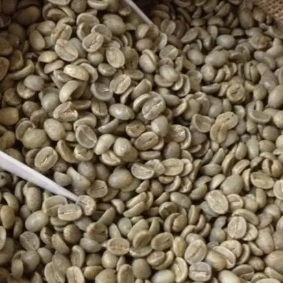 O MELHOR GRADE 1 FARINHA DE CAFÉ ROBUSTA VERDE VIETNAMIANO, VENDA POR ATACADO SCR13 SCR16 SCR18 Limpado sem lavar molhado polido, EXPORTAÇÃO BARATO