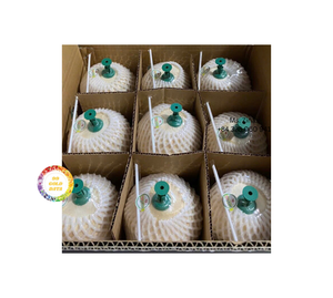 มะพร้าวทรงอ่อนตัดด้วยเม็ดเพชรทำให้มีน้ำผลไม้และเครื่องดื่มเปิดง่าย-เวียดนามขายส่ง - Product Image 3