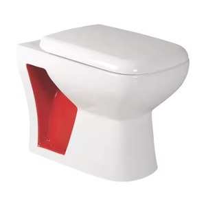 Ensemble de salle de bain arabe double couleur en céramique EWC S/P piège à eau européenne placard commode siège - Product Image 6