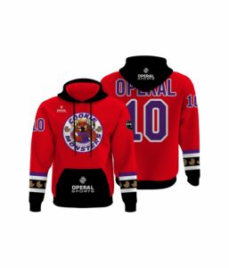 Sudadera con Capucha Unisex de Alta Calidad, 100% Poliéster, Diseño Sublimado Personalizado, Bolsillo Transpirable, 300g - Product Image 1