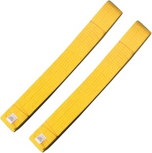 ศิลปะการต่อสู้เทควันโดเข็มขัดสี - Product Image 3