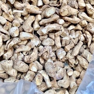 Tallo De Seta para cocina, precio barato, vacaciones de Vietnam, buen sabor - Product Image 1