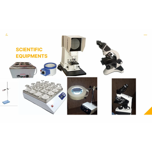 Modèle anatomique en PVC des poumons et du cœur humains, modèle d'organe scientifique médical pour la formation en école de médecine - Product Image 5