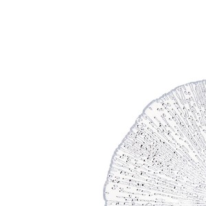 Botella Rio 25 cm - Product Image 2