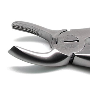 Fórceps de extracción Dental de buena calidad de acero inoxidable alemán de Venta caliente Fórceps de extracción más vendidos - Product Image 6