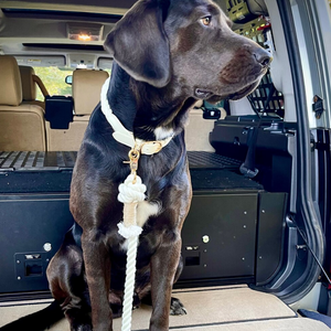 Hand Dyed Creamy <b>White</b> Cotton Rope Dog Leash Premium Stylish Durable Pet Lead for Medium Large Dogs - Product Image 3