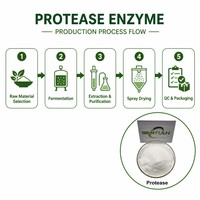 Poudre d'enzyme subtilisine de qualité alimentaire 200 000 U/g pour la hydrolyse des protéines