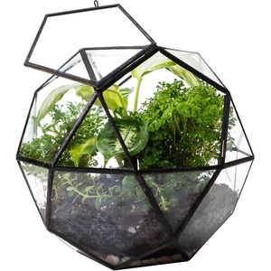 High Quality Black <b>Geometric</b> Glass <b>Terrarium</b> Planter Modern Indoor Metal Frame Home Decor Flower for Wedding Wholesale - Product Image 1