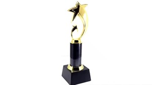 Trofeo estrella brillante de metal de calidad superior para la Excelencia o el liderazgo de los empleados disponible en todo el mundo - Product Image 3