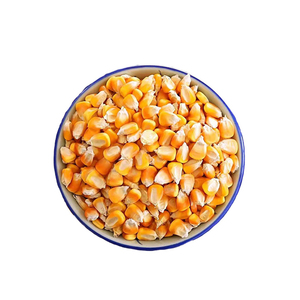 Mejor venta de calidad agrícola Corp producto maíz grano de maíz Natural puro de maíz amarillo maíz - Product Image 6