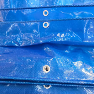 Bâche en PE bon marché, bâche en PE de 80 g/m² à 250 g/m², utilisée pour les couvertures et l'agriculture - Product Image 1