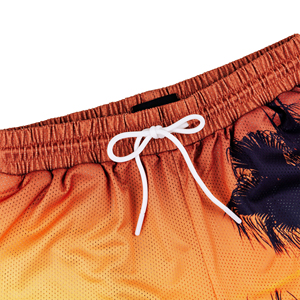 Vente en gros à bas prix de shorts en maille avec logo personnalisé shorts de fitness pour hommes Offre Spéciale shorts en maille avec logo personnalisé - Product Image 6