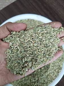 Graines de fenouil de qualité supérieure en gros, huile essentielle élevée, couleur verte, support de marque privée, emballage OEM en vrac - Product Image 2