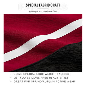 Sudadera Colorblock y pantalones de chándal para hombre, conjunto de chándal informal de 2 piezas, jersey de manga larga, conjunto de chándal para correr - Product Image 5