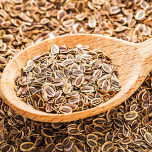 Semillas de Eneldo Naturales de la India, Cultivo Rico en Aceites Esenciales, Grado de Exportación Fresco para Importadores Internacionales, Semillas de Eneldo Premium Limpias a Máquina - Product Image 2