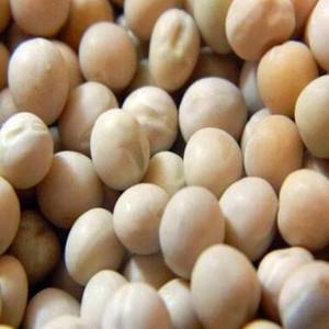 Petits pois bruns séchés, forme ronde, grain unique, épices naturelles, qualité supérieure, 25 kg, Égypte, mélange, à vendre - Product Image 1