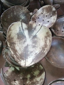 Porte-savon en coque de noix de coco durable, fabriqué à la main pour les maisons naturelles, idéal pour garder le savon au sec tout en ajoutant un charme rustique - Product Image 2