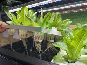 Innovadores Sistemas Hidropónicos de Interior y Torre Aeropónica para Agricultura Vertical - Product Image 5