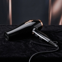 Pengering Rambut Salon yang Ditingkatkan dengan Nozzle Konsentrator, Motor AC 2200W, Perlindungan Panas, Desain Ramah Perjalanan, Pengeringan Instan, Hotel