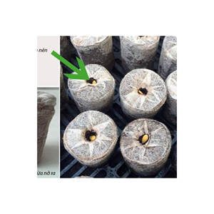 Granulés de coco en vrac biodégradables, renouvelables, plus d'aération/moins de moisissure que les granulés de tourbe - Product Image 2
