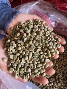 เมล็ดกาแฟเขียวโรบัสต้าอาราบิก้าเวียดนาม - การแปรรูปเมล็ดกาแฟ ผงสกัดจากเมล็ดกาแฟเขียว - Product Image 3