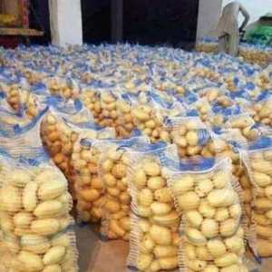 Papas Frescas Orgánicas de Alta Calidad a Granel de Tailandia, Papas Blancas y Rojas a Precios Accesibles - Product Image 2