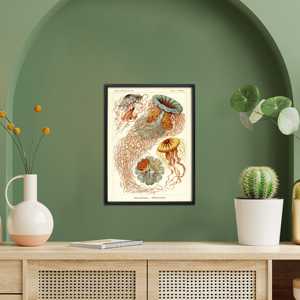 ภาพพิมพ์ศิลปะของเอิร์นส์ ฮาเคิล "ดิสโคเมดูซา" - แมงกะพรุนสวยงามในงานภาพนิ่งบนวัสดุกระดาษ - Product Image 4