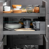Cajón Exterior Emuca Vertex, 40 kg, 131 mm de Altura, 500 mm de Profundidad, Acero, Aluminio, Vidrio, Gris, Utensilios de Cocina, Origen España, Modelo 3130335