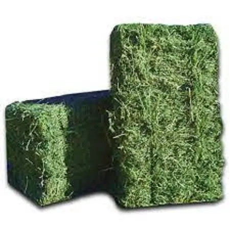 Alimentación Animal Timothy Grass Hay Pacas para la venta/Comprar 150 kg Pacas Timothy Hay para Conejo, Horse Feed France