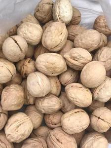 Noix de qualité - Product Image 3