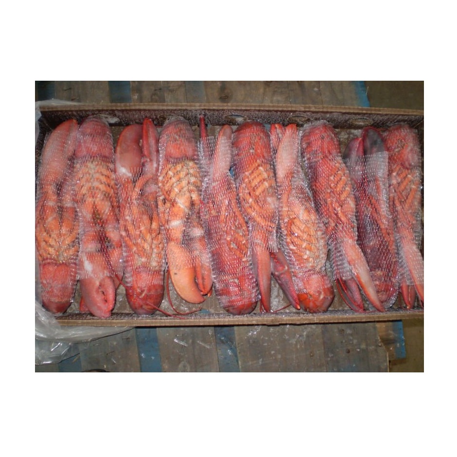 Хит продаж, замороженные омары, замороженные омары, свежие живые омары, канадские объемные упаковочные омары