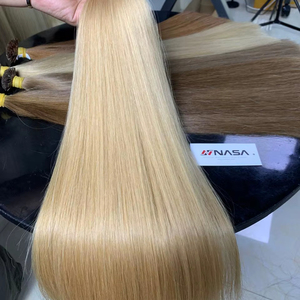 Extensions de cheveux à pointe plate pré-collée à la kératine Cheveux humains bruts vietnamiens Prix d'usine en gros 100 grammes droits - Product Image 1