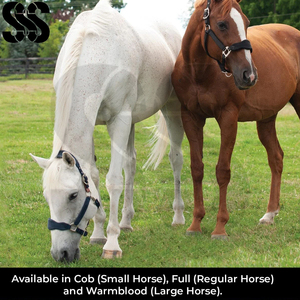 2026 Dernier modèle de licol pour cheval en cuir de qualité supérieure et durable, personnalisable avec plaque nominative, fait main, avec muserolle rembourrée souple et couronne - Product Image 4
